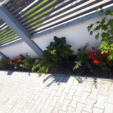 Apartament Saguna Sinnicolau Mare Экстерьер фото